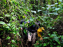 manucapuru_082.jpg