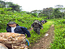 manucapuru_151.jpg