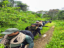 manucapuru_160.jpg