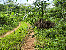 manucapuru_161.jpg