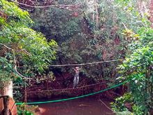 maturaca_008.jpg