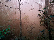 maturaca_030.jpg