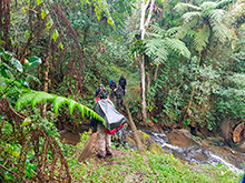 maturaca_044.jpg