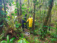 maturaca_045.jpg