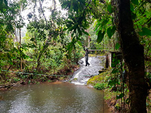 maturaca_047.jpg