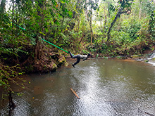 maturaca_048.jpg
