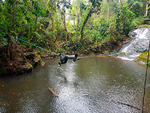 maturaca_049.jpg