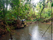 maturaca_050.jpg