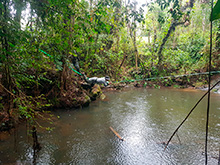 maturaca_051.jpg