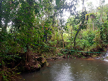 maturaca_052.jpg