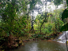 maturaca_054.jpg