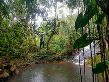 maturaca_055.jpg