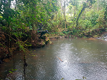 maturaca_058.jpg