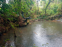 maturaca_059.jpg