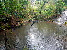 maturaca_060.jpg