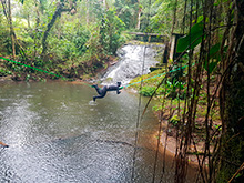 maturaca_061.jpg