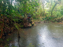 maturaca_063.jpg