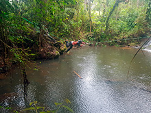 maturaca_064.jpg