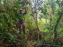 maturaca_068.jpg