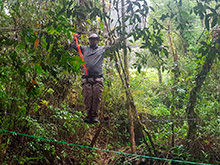 maturaca_069.jpg