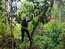 maturaca_070.jpg