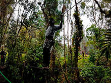 maturaca_096.jpg