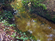 passo_lontra_002.jpg