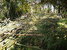 passo_lontra_063.jpg