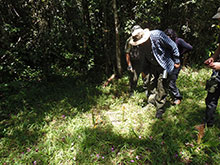 passo_lontra_148.jpg