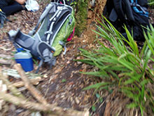 passo_lontra_159.jpg