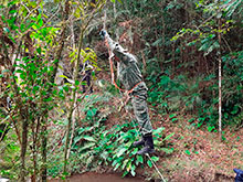 sarue_004.jpg