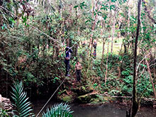 sarue_036.jpg