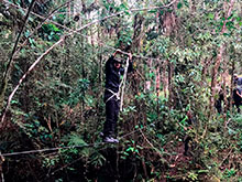 sarue_043.jpg
