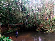 sarue_048.jpg