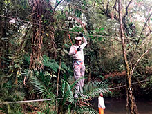 sarue_067.jpg