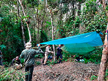 sarue_071.jpg