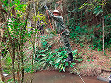 sarue_080.jpg