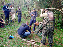 sarue_192.jpg