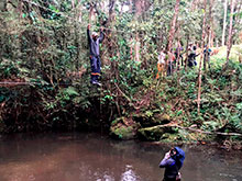 sarue_219.jpg