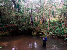 sarue_223.jpg