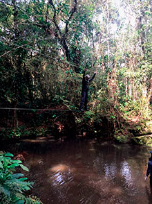 sarue_233.jpg