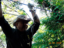 selva_extrema01.jpg