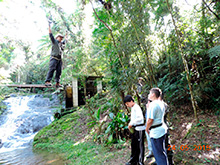 selva_extrema02.jpg