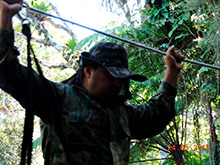 selva_extrema05.jpg