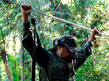 selva_extrema06.jpg