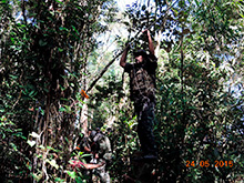 selva_extrema07.jpg