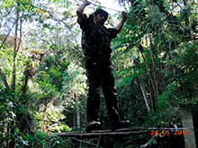 selva_extrema08.jpg