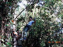 selva_extrema10.jpg
