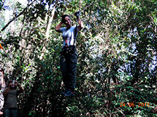 selva_extrema11.jpg