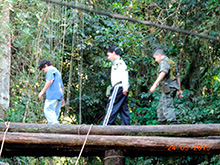 selva_extrema13.jpg
